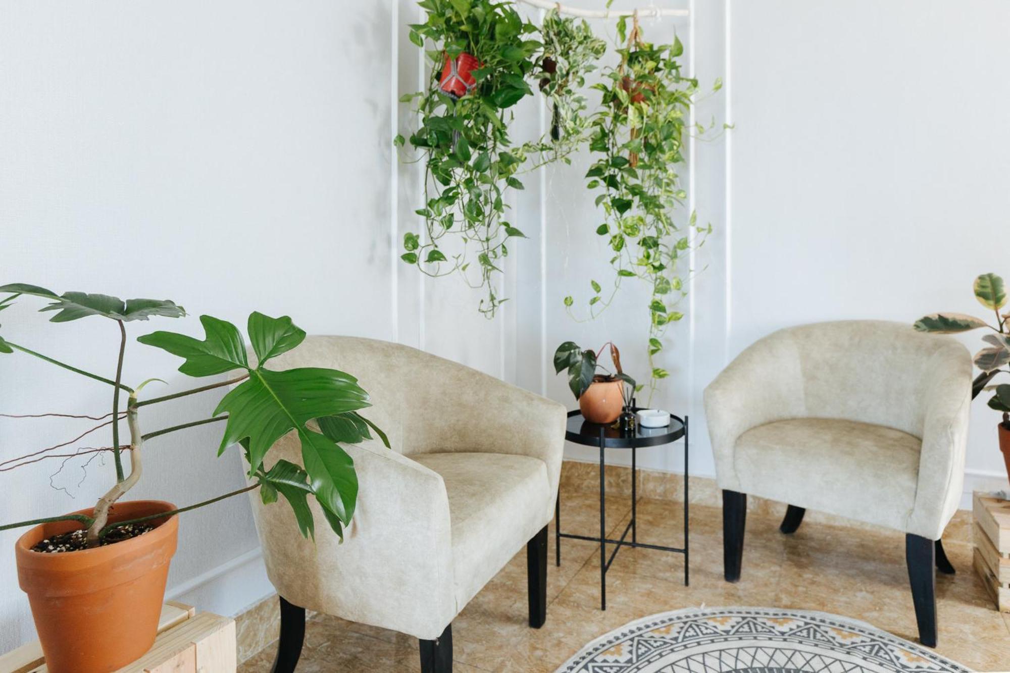 Ivy Hotel & Apartment - Stay 24H Hà Nội Ngoại thất bức ảnh